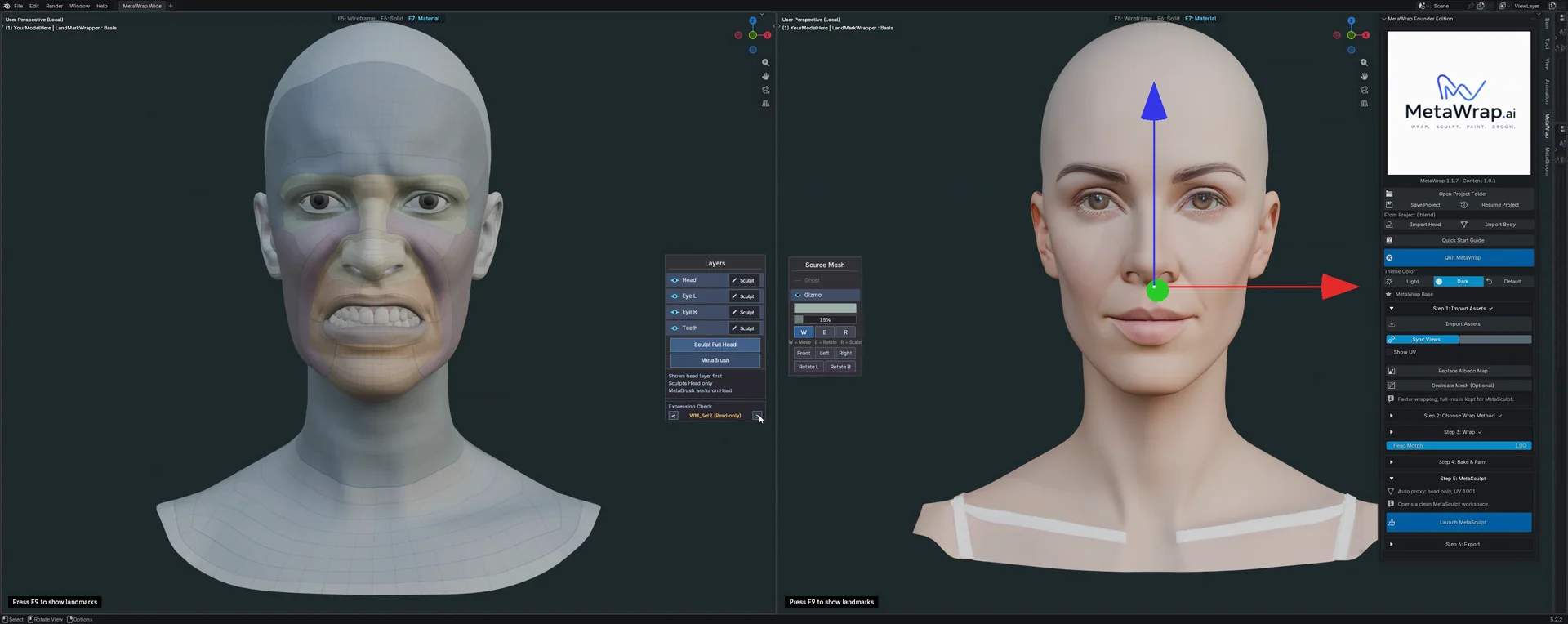 Expression Check and MetaBrush