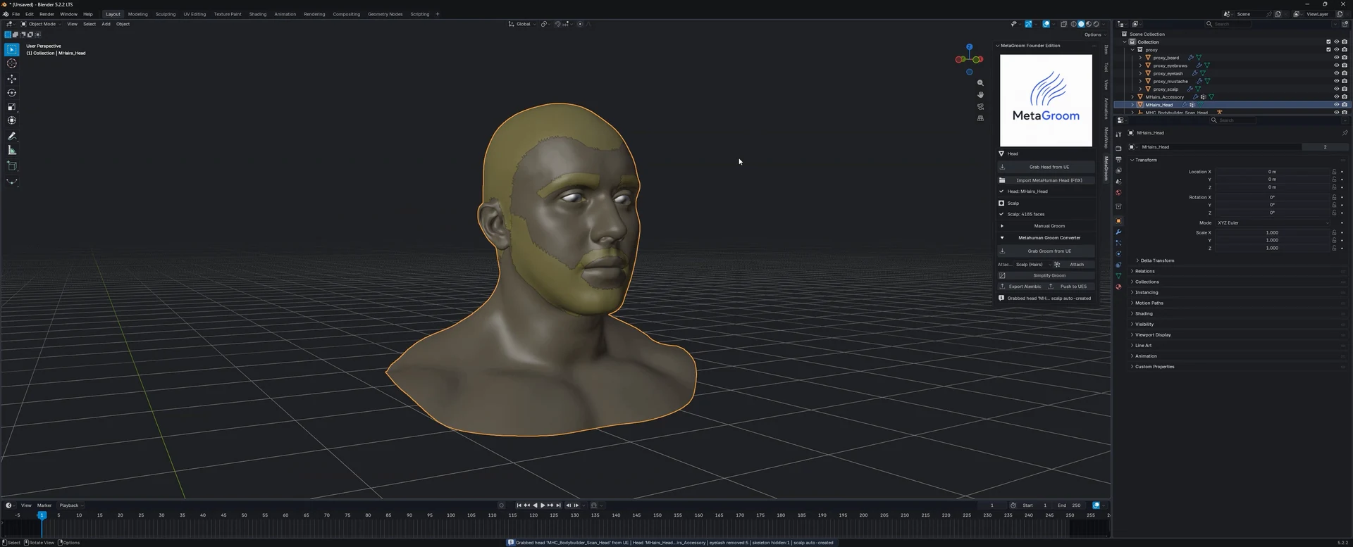 The head and its scalps in Blender
