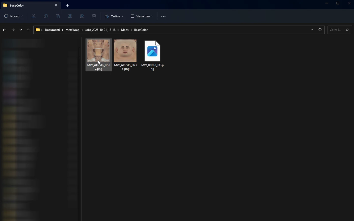 MetaSculpt output folders